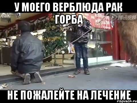 у моего верблюда рак горба не пожалейте на лечение