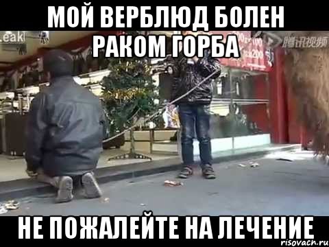 мой верблюд болен раком горба не пожалейте на лечение