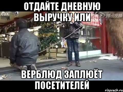 отдайте дневную выручку или верблюд заплюёт посетителей