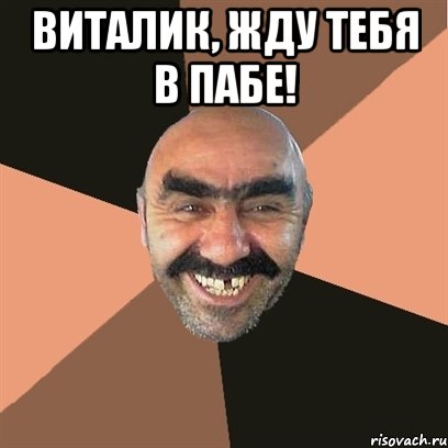 виталик, жду тебя в пабе! , Мем Я твой дом труба шатал
