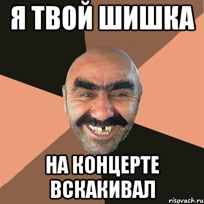 я твой шишка на концерте вскакивал, Мем Я твой дом труба шатал
