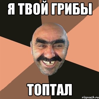 я твой грибы топтал, Мем Я твой дом труба шатал