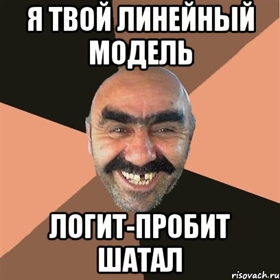 Я твой линейный модель Логит-Пробит шатал, Мем Я твой дом труба шатал