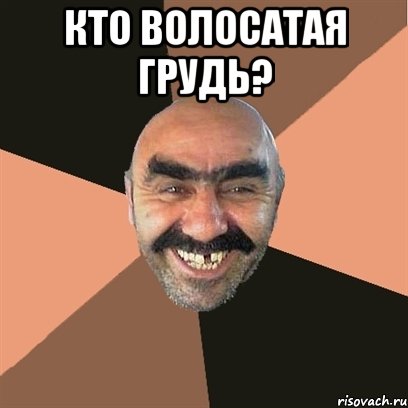 кто волосатая грудь? , Мем Я твой дом труба шатал