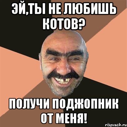 ЭЙ,ТЫ НЕ ЛЮБИШЬ КОТОВ? ПОЛУЧИ ПОДЖОПНИК ОТ МЕНЯ!, Мем Я твой дом труба шатал