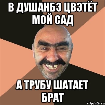 В душанбэ цвэтёт мой сад а трубу шатает брат, Мем Я твой дом труба шатал