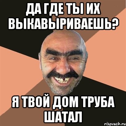 Да где ты их выкавыриваешь? Я твой дом труба шатал, Мем Я твой дом труба шатал