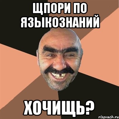 ЩПОРИ ПО ЯЗЫКОЗНАНИЙ ХОЧИЩЬ?, Мем Я твой дом труба шатал