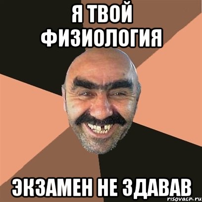 Я твой физиология Экзамен не здавав, Мем Я твой дом труба шатал