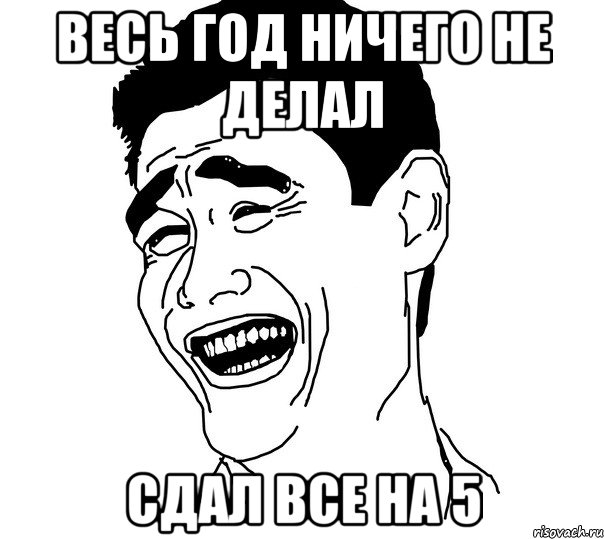 весь год ничего не делал сдал все на 5