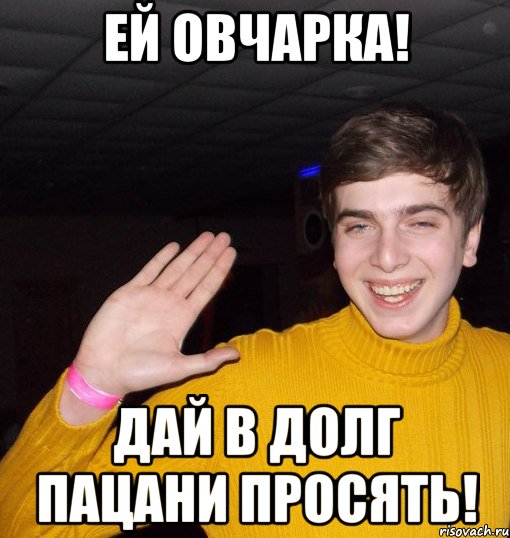 Ей овчарка! Дай в долг пацани просять!, Мем ыфы