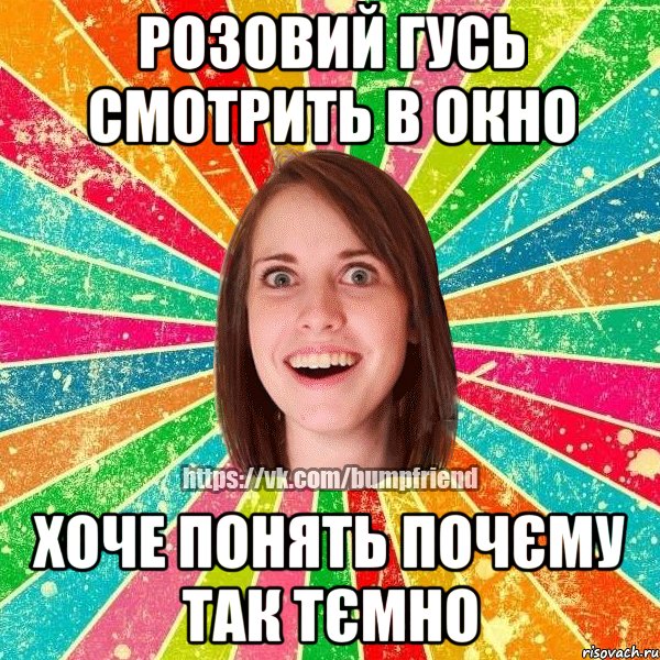 розовий гусь смотрить в окно хоче понять почєму так тємно