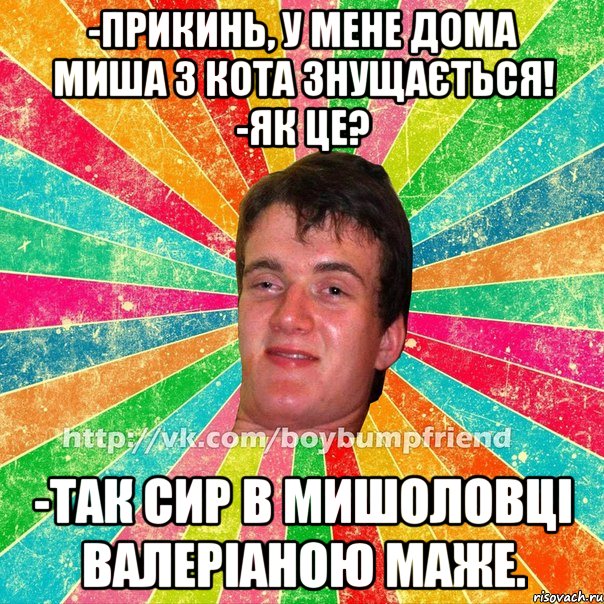 -прикинь, у мене дома миша з кота знущається! -як це? -так сир в мишоловці валеріаною маже.