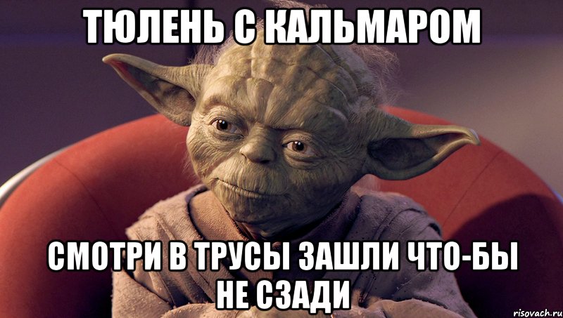 тюлень с кальмаром смотри в трусы зашли что-бы не сзади