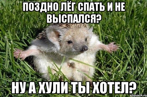 поздно лёг спать и не выспался? ну а хули ты хотел?