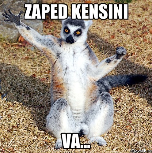 zaped kensını va...