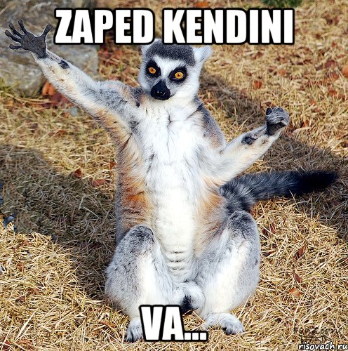 zaped kendını va...