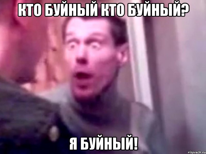 кто буйный кто буйный? я буйный!, Мем Запили