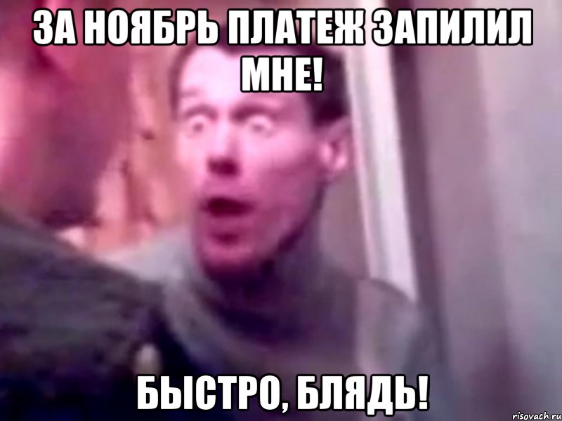 за ноябрь платеж запилил мне! быстро, блядь!