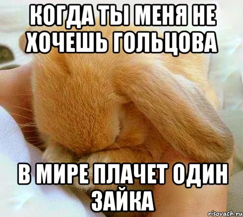 когда ты меня не хочешь гольцова в мире плачет один зайка