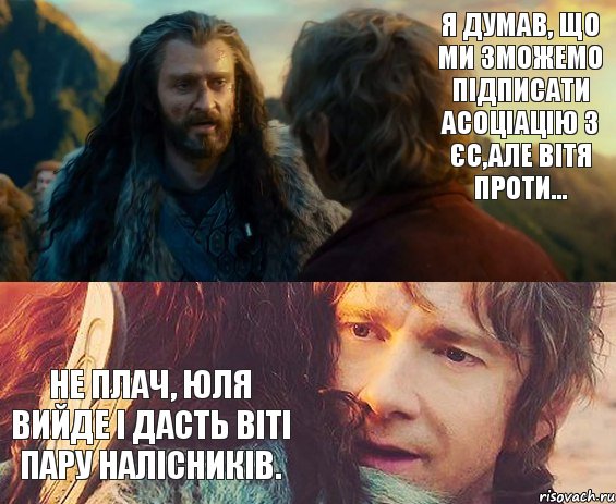 Я думав, що ми зможемо підписати асоціацію з ЄС,але Вітя проти... Не плач, Юля вийде і дасть Віті пару налісників., Комикс Я никогда еще так не ошибался