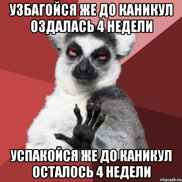 узбагойся же до каникул оздалась 4 недели Успакойся же до каникул осталось 4 недели, Мем Узбагойзя