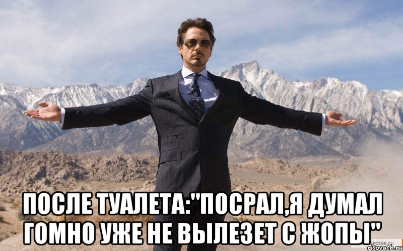  после туалета:"посрал,я думал гомно уже не вылезет с жопы", Мем железный человек