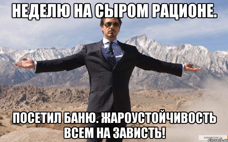 неделю на сыром рационе. посетил баню. жароустойчивость всем на зависть!, Мем железный человек