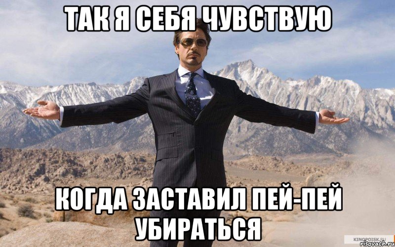 так я себя чувствую когда заставил пей-пей убираться, Мем железный человек