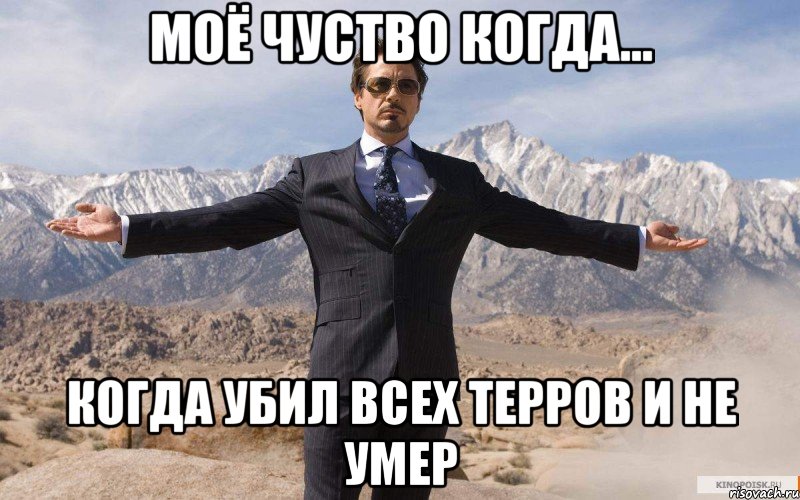 Моё чуство когда... Когда убил всех терров и не умер, Мем железный человек