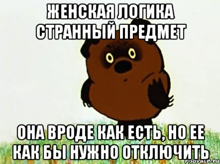 женская логика странный предмет она вроде как есть, но ее как бы нужно отключить