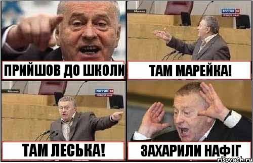 ПРИЙШОВ ДО ШКОЛИ ТАМ МАРЕЙКА! ТАМ ЛЕСЬКА! ЗАХАРИЛИ НАФІГ, Комикс жиреновский