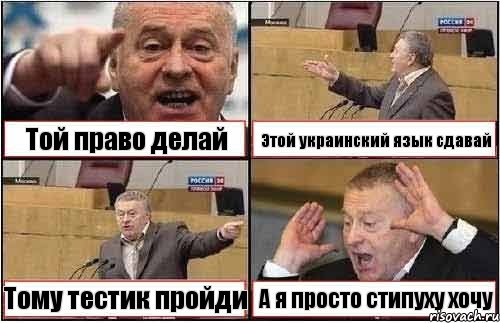 Той право делай Этой украинский язык сдавай Тому тестик пройди А я просто стипуху хочу, Комикс жиреновский