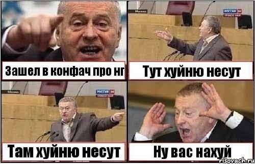 Зашел в конфач про нг Тут хуйню несут Там хуйню несут Ну вас нахуй, Комикс жиреновский