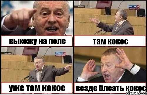 выхожу на поле там кокос уже там кокос везде блеать кокос, Комикс жиреновский