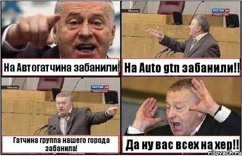 На Автогатчина забанили! На Auto gtn забанили!! Гатчина группа нашего города забанила! Да ну вас всех на хер!!, Комикс жиреновский