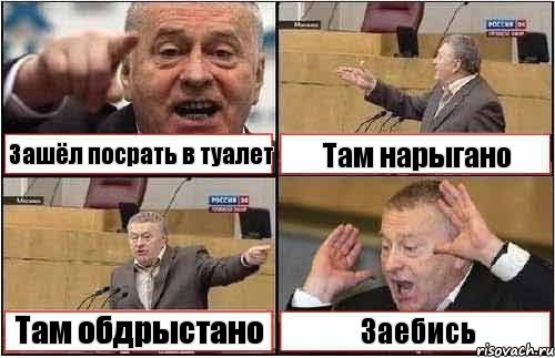 Зашёл посрать в туалет Там нарыгано Там обдрыстано Заебись, Комикс жиреновский