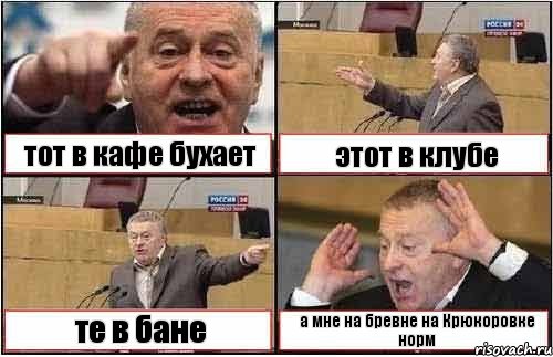 тот в кафе бухает этот в клубе те в бане а мне на бревне на Крюкоровке норм, Комикс жиреновский