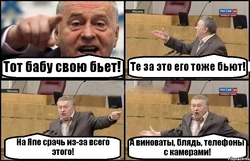Тот бабу свою бьет! Те за это его тоже бьют! На Япе срачь из-за всего этого! А виноваты, блядь, телефоны с камерами!, Комикс Жириновский