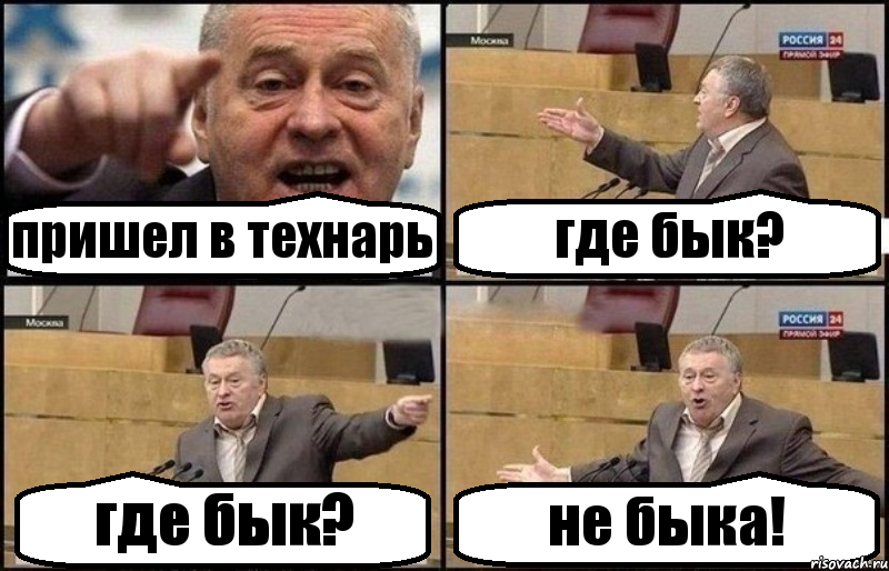 пришел в технарь где бык? где бык? не быка!, Комикс Жириновский
