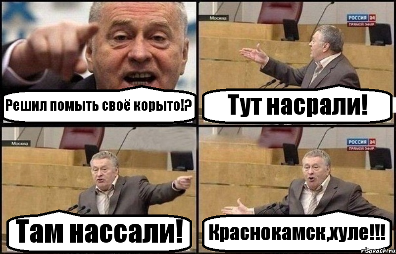 Решил помыть своё корыто!? Тут насрали! Там нассали! Краснокамск,хуле!!!, Комикс Жириновский