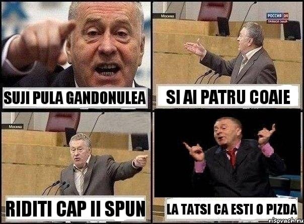 suji pula gandonulea si ai patru coaie riditi cap ii spun la tatsi ca esti o pizda, Комикс Жириновский клоуничает