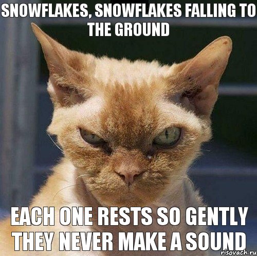 Snowflakes, snowflakes Falling to the ground Each one rests so gently They never make a sound