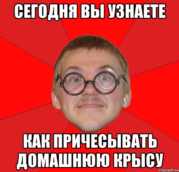 сегодня вы узнаете как причесывать домашнюю крысу, Мем Злой Типичный Ботан