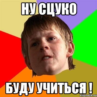 НУ СЦУКО БУДУ УЧИТЬСЯ !, Мем Злой школьник