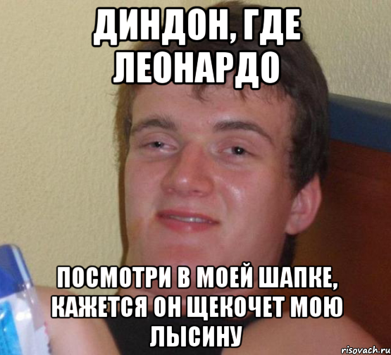 ДИНДОН, ГДЕ ЛЕОНАРДО ПОСМОТРИ В МОЕЙ ШАПКЕ, КАЖЕТСЯ ОН ЩЕКОЧЕТ МОЮ ЛЫСИНУ, Мем 10 guy (Stoner Stanley really high guy укуренный парень)