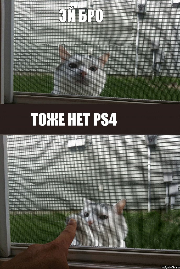 ЭЙ БРО тоже нет PS4 