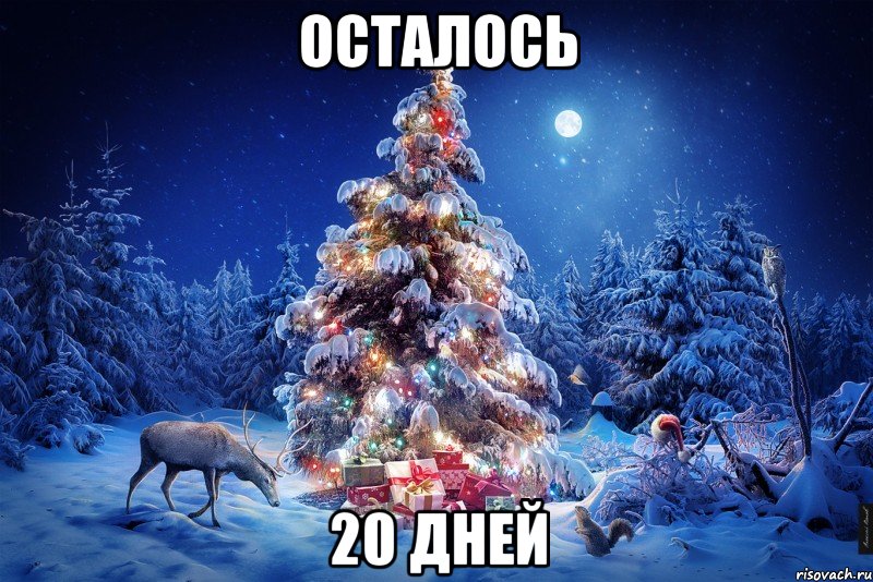 осталось 20 дней