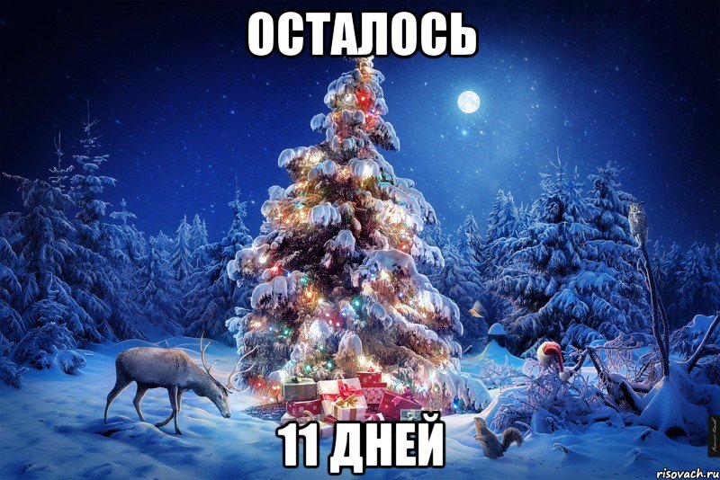 осталось 11 дней