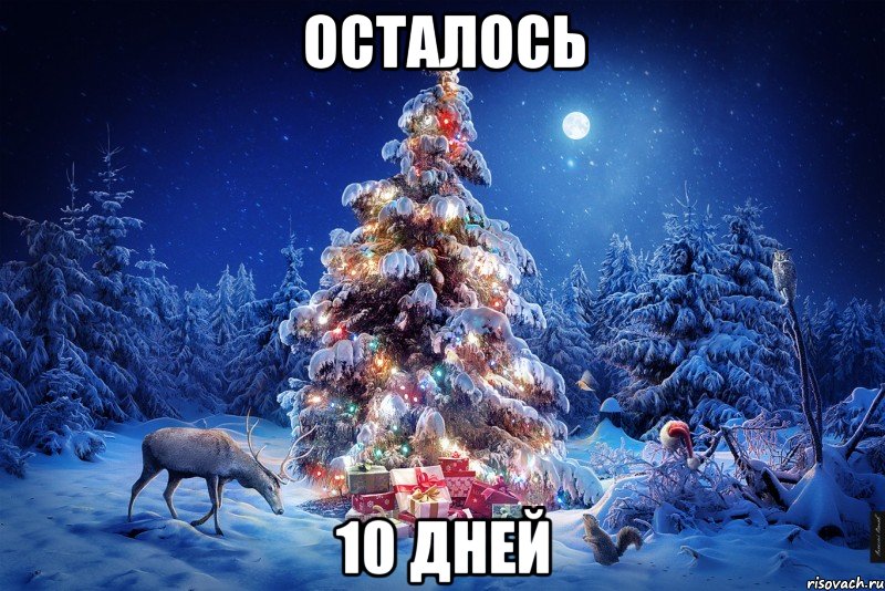 осталось 10 дней